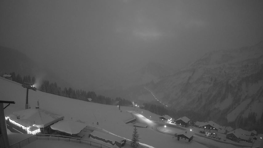 Damüls, Alpenstern Panoramahotel Image