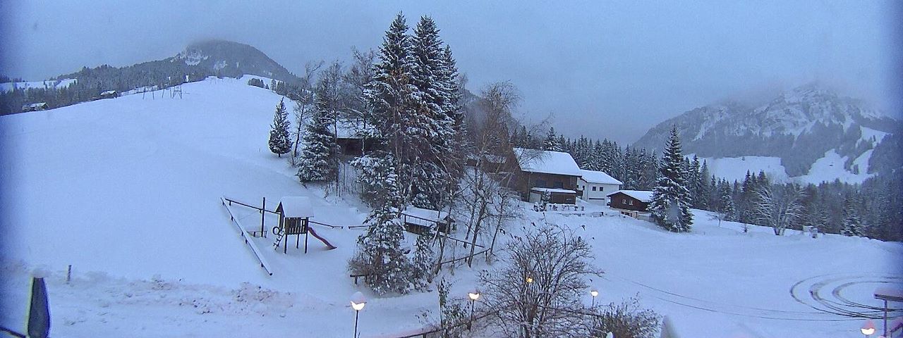 Bergrestaurant Gfellen, Finsterwald Image