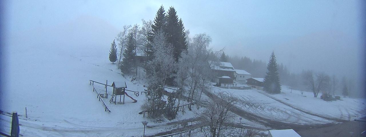 Bergrestaurant Gfellen, Finsterwald Image